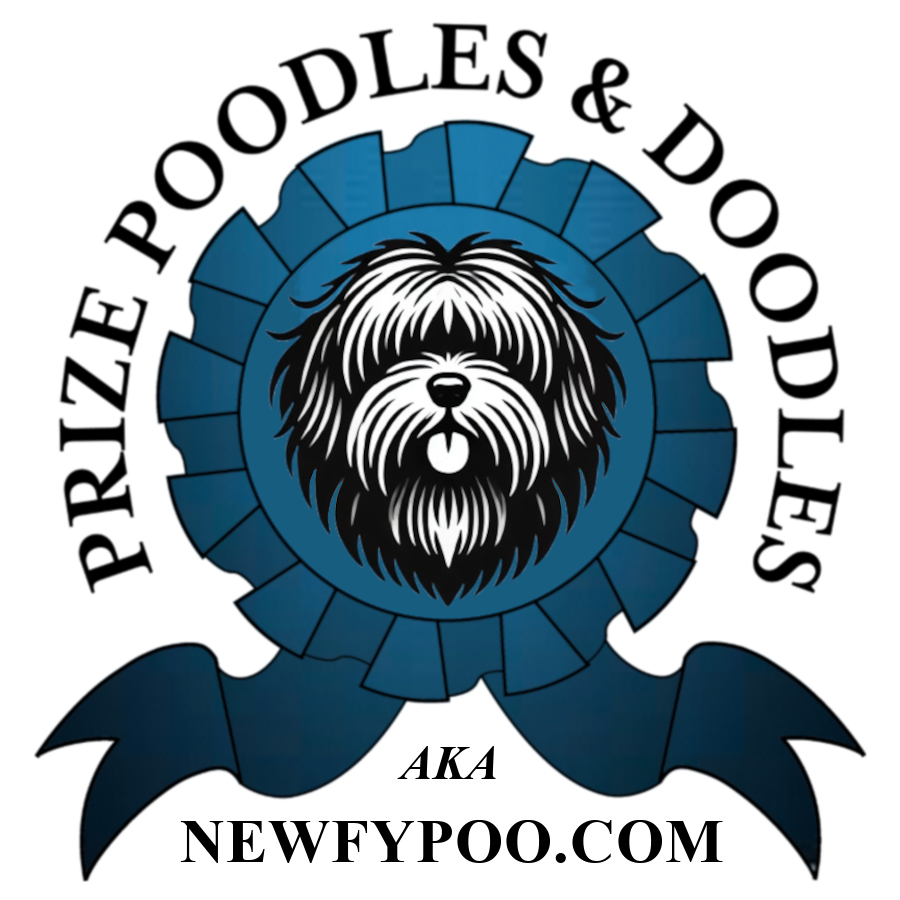 Shop Prize Poodles And Doodles