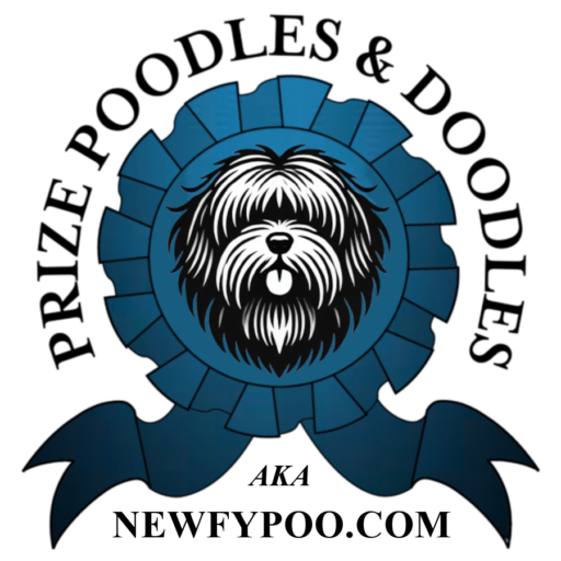 Prize Poodles and Doodles