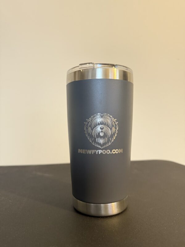 20oz Tumbler (Grey)