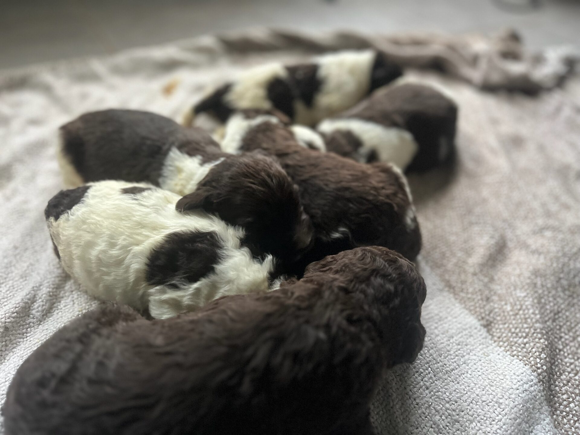 372428FC-03A4-4262-B3A1-02C695D85DF8