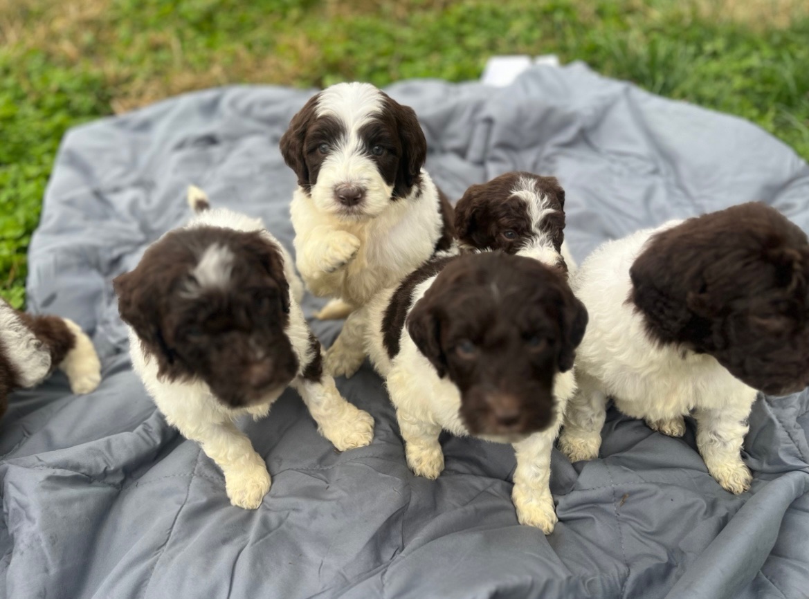 0EF13261-4C52-4785-878A-B20C2DEBB84B