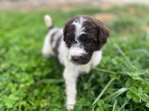 1DC785FA-9A43-4E56-A775-0B7E5E070120_4_5005_c