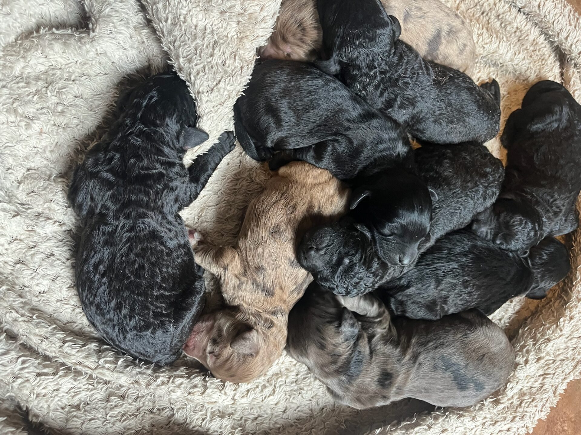 5DB373B4-3AFE-4AB7-9844-EE1C069CCC95