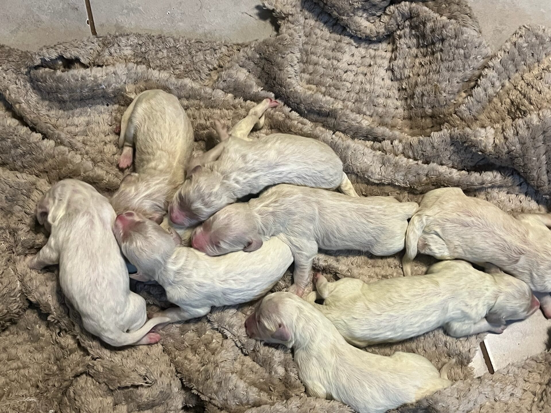 A5588D21-71A8-4BB3-BE70-9F2762213759