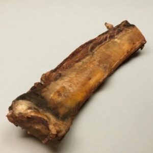 Rib Bone
