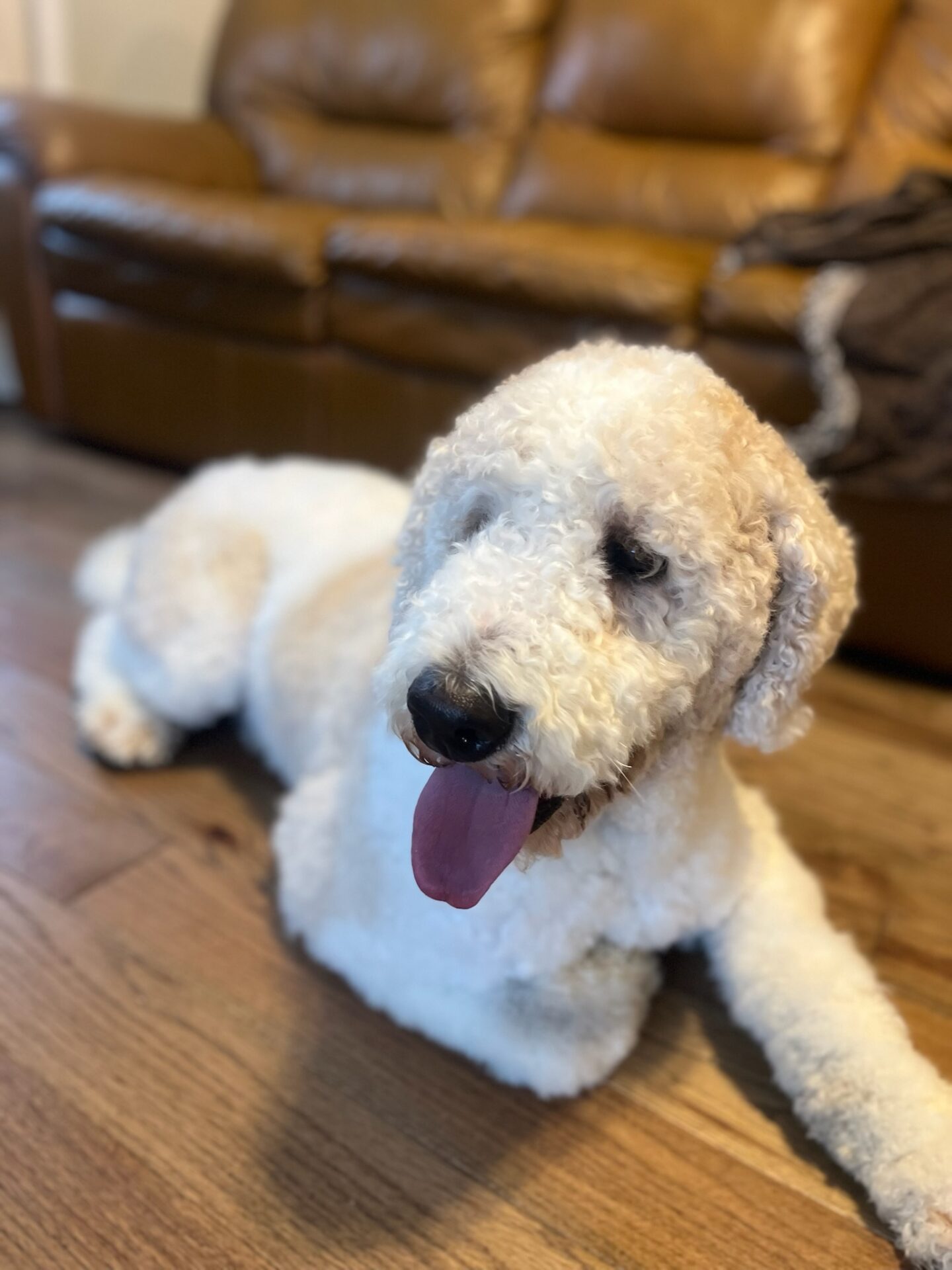 DEC19FFD-82F3-401E-A561-CFC982D47881IMG_5761